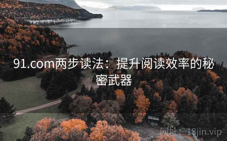 91.com两步读法：提升阅读效率的秘密武器